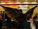 DSC00050.jpg