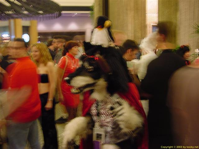 DSC00037